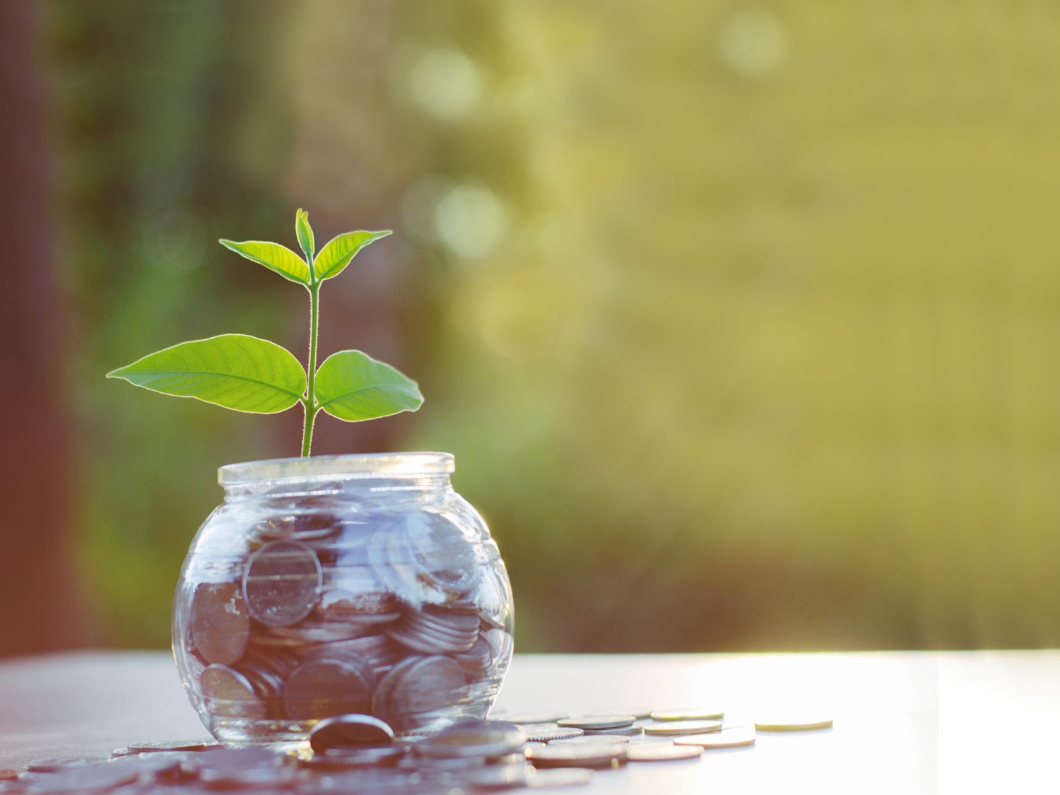 A jar of coins with a plant growing out of it, representing growing money.