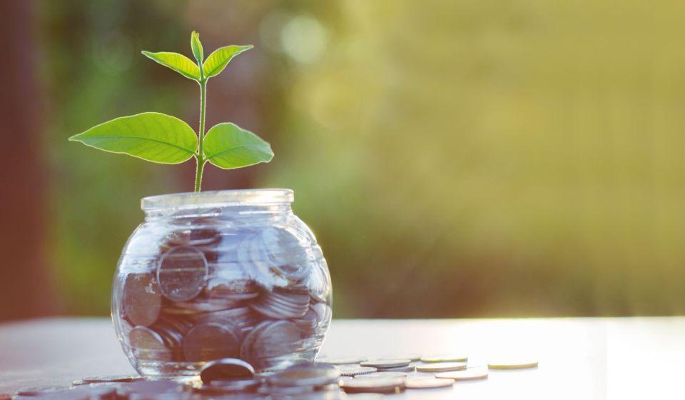 A jar of coins with a plant growing out of it.